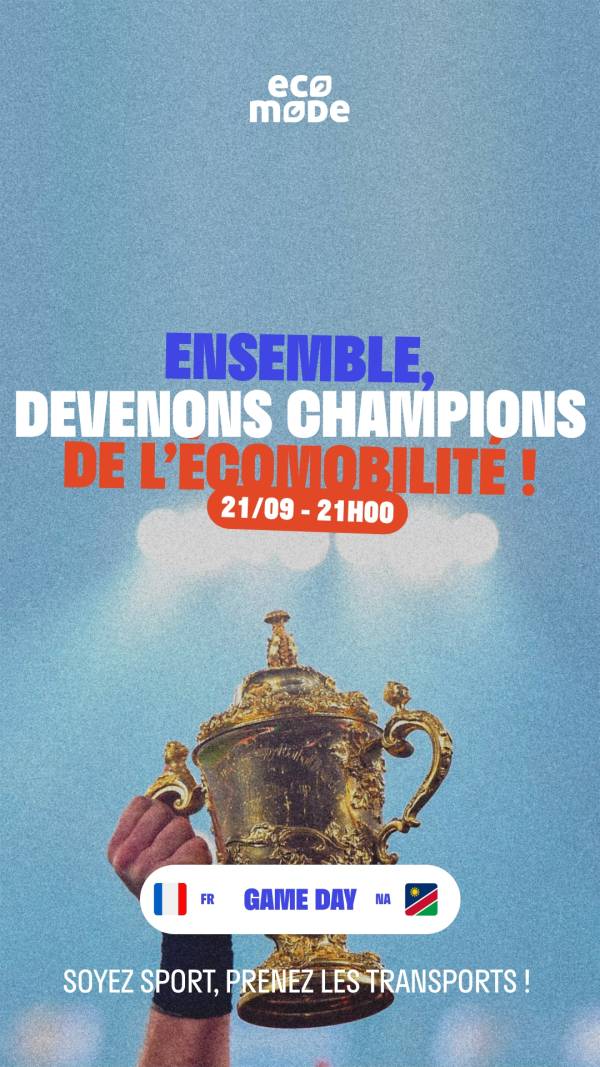 Illustration du projet Coupe du Monde de Rugby